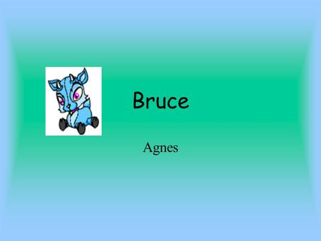 Bruce Agnes Inhoud 1. Uitleg 2.MMijn Bruce 3.HHoe verzorg je je Bruce? 4.JJe neopunten 5.SSpelletjes 6.EEen foto en beschrijving 7.MMijn leukste neopets.