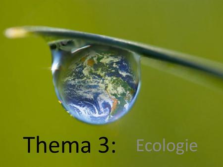 Thema 3: Ecologie.