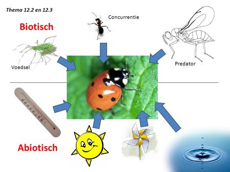 Thema 12.2 en 12.3 Concurrentie Biotisch Predator Voedsel Abiotisch.