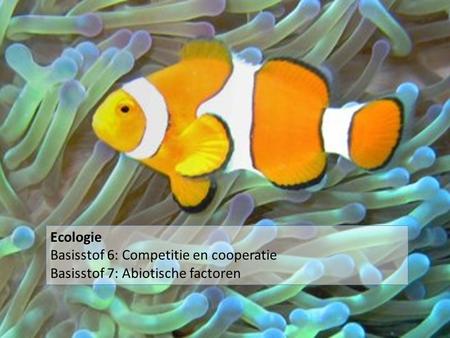 Ecologie Basisstof 6: Competitie en cooperatie