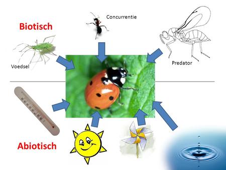 Concurrentie Biotisch Predator Voedsel Abiotisch.