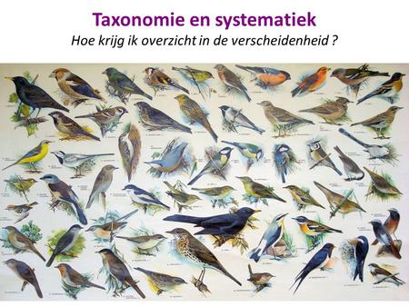 Taxonomie en systematiek Hoe krijg ik overzicht in de verscheidenheid ? Het duizelt ons: allerlei vormen en kleuren en gedragingen en geluiden.