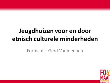 Jeugdhuizen voor en door etnisch culturele minderheden Formaat – Gerd Vanmeenen.
