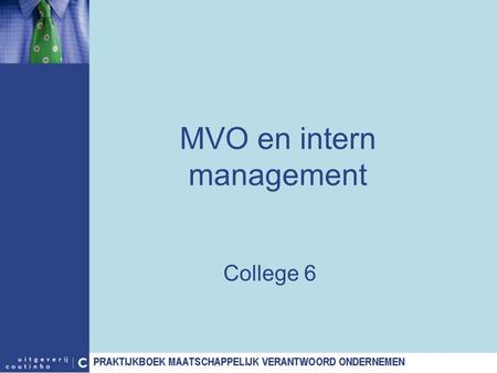 MVO en intern management