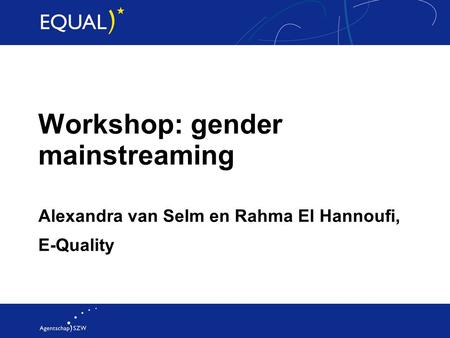 Workshop: gender mainstreaming