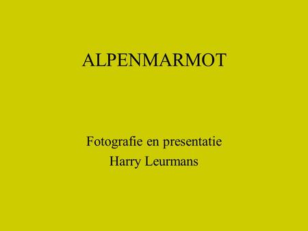 Fotografie en presentatie Harry Leurmans