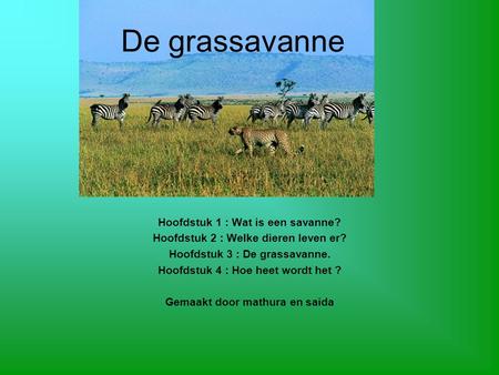 De grassavanne Hoofdstuk 1 : Wat is een savanne?