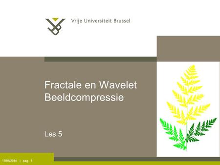 17/08/2014 | pag. 1 Fractale en Wavelet Beeldcompressie Les 5.