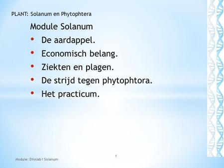 Module Solanum De aardappel. Economisch belang. Ziekten en plagen. De strijd tegen phytophtora. Het practicum. Module: DNAlab1 Solanum 1 PLANT: Solanum.