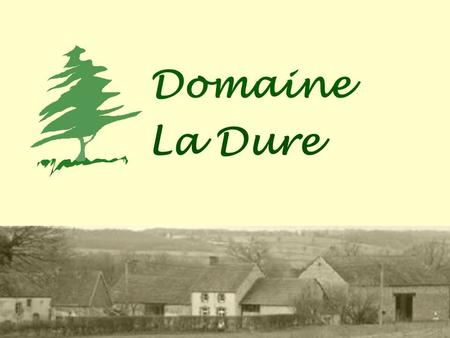 Domaine La Dure.
