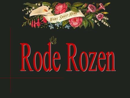 Rode Rozen.