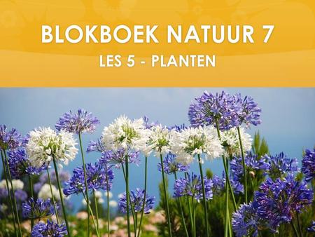 BLOKBOEK NATUUR 7 LES 5 - PLANTEN.