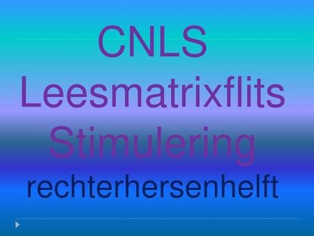 CNLS Leesmatrixflits Stimulering rechterhersenhelft