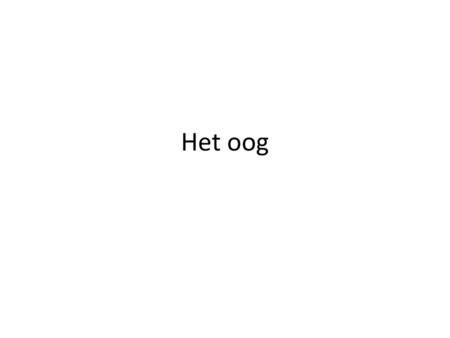 Het oog.