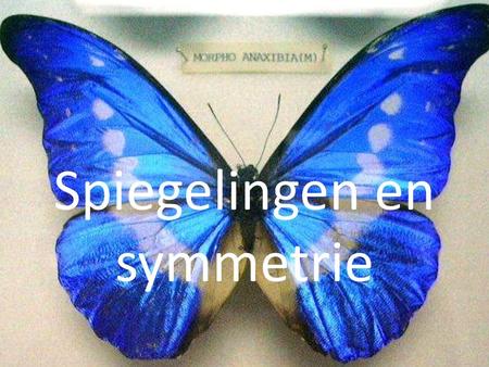 Spiegelingen en symmetrie