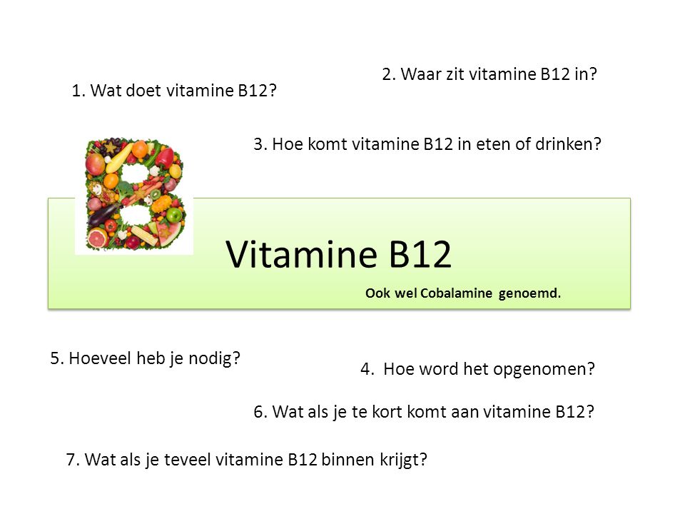 Kustlijn Beschikbaar flexibel Vitamine B12 2. Waar zit vitamine B12 in? 1. Wat doet vitamine B12? - ppt  video online download