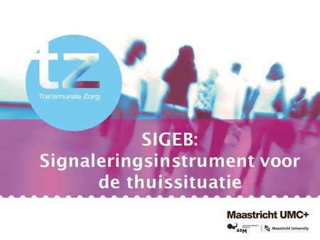 SIGEB: Signaleringsinstrument voor de thuissituatie