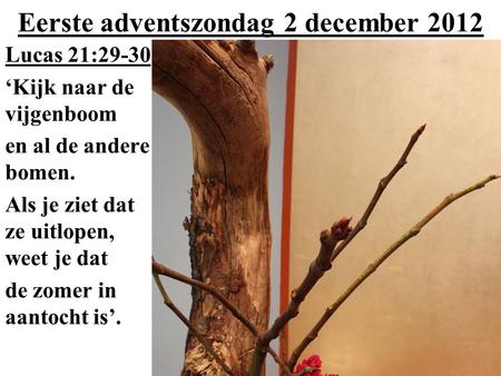 Eerste adventszondag 2 december 2012