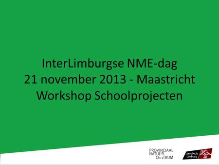 InterLimburgse NME-dag 21 november 2013 - Maastricht Workshop Schoolprojecten.