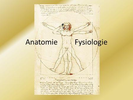 Anatomie	 Fysiologie.