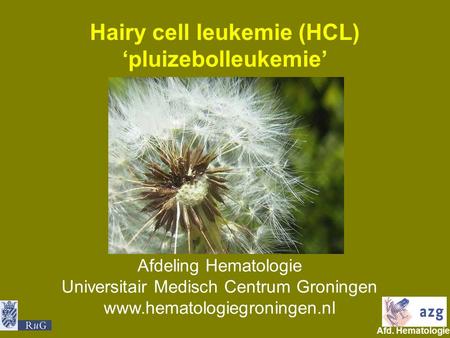 Hairy cell leukemie (HCL) ‘pluizebolleukemie’