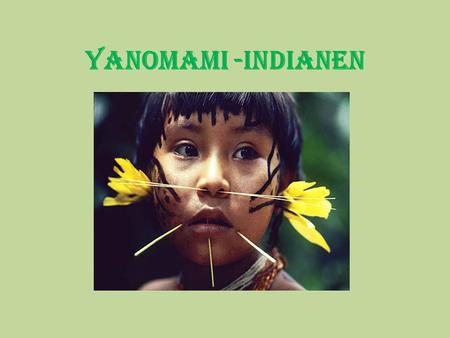 Yanomami -Indianen.