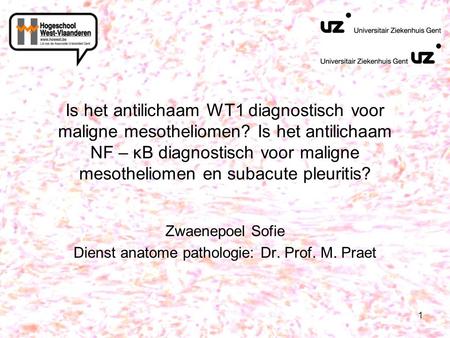Zwaenepoel Sofie Dienst anatome pathologie: Dr. Prof. M. Praet