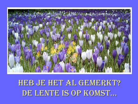 Heb je het al gemerkt? De lente is op komst….