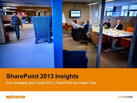 SharePoint 2013 Insights Een rondgang door Excel 2013, PowerPivot en Power View.
