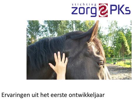 Ervaringen uit het eerste ontwikkeljaar. Fiersicht: meer paardenkracht in de zorg Noord Nederland loopt voorop in Europa. Zorg voor zorgbehoeftigen (van.