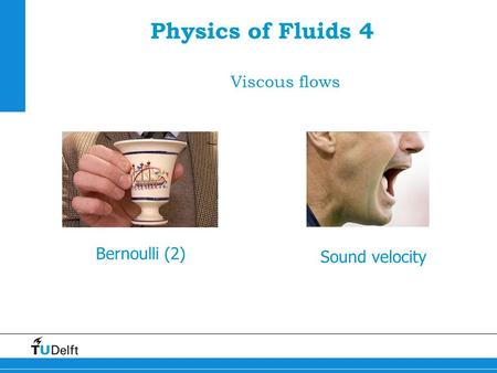 Physics of Fluids 4 Viscous flows