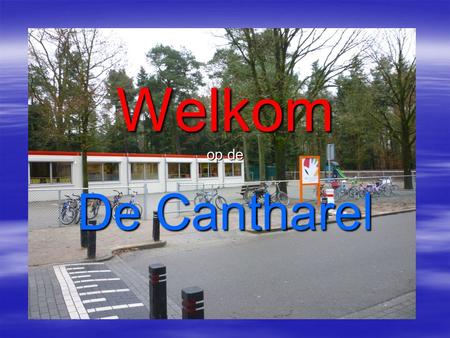 Welkom Welkom op de De Cantharel. Ons motto: “Samen plezier in Leren”