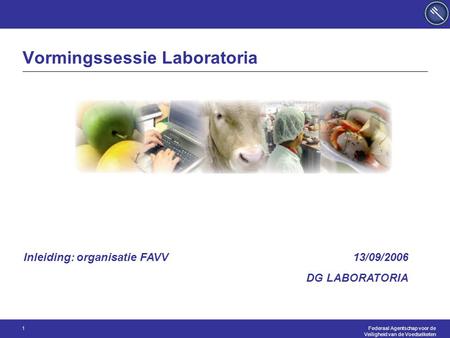 Federaal Agentschap voor de Veiligheid van de Voedselketen 1 Vormingssessie Laboratoria 13/09/2006 DG LABORATORIA Inleiding: organisatie FAVV.
