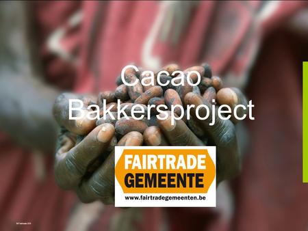 Cacao Bakkersproject © Fairtrade 010.