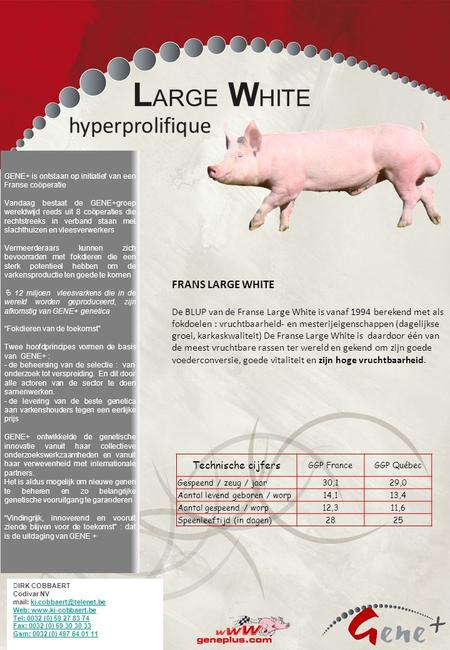 Ons bedoeling is vermeerderaars te bevoorraden met fokdieren met een sterk potentieel om de varkens productie ten goede te komen De groep GENE+ is ontstaan.