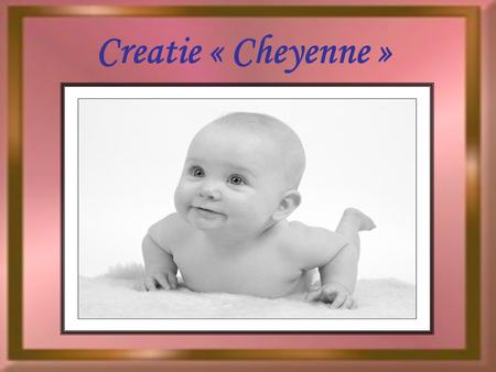 Creatie « Cheyenne ».