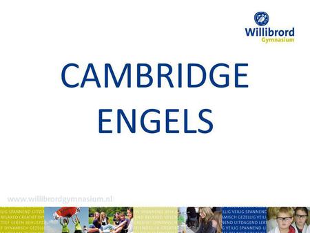 CAMBRIDGE ENGELS.