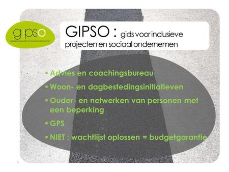 1 GIPSO : gids voor inclusieve projecten en sociaal ondernemen  Advies en coachingsbureau  Woon- en dagbestedingsinitiatieven  Ouder- en netwerken van.