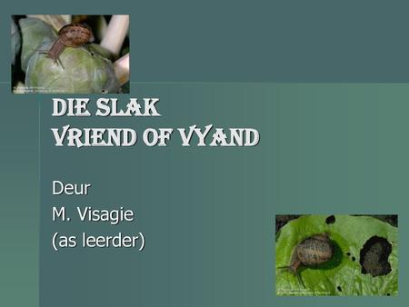 Die Slak Vriend of Vyand