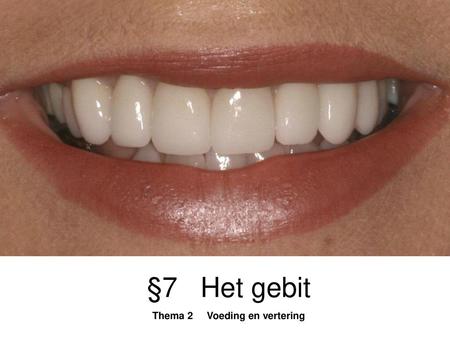 §7 Het gebit Thema 2 Voeding en vertering