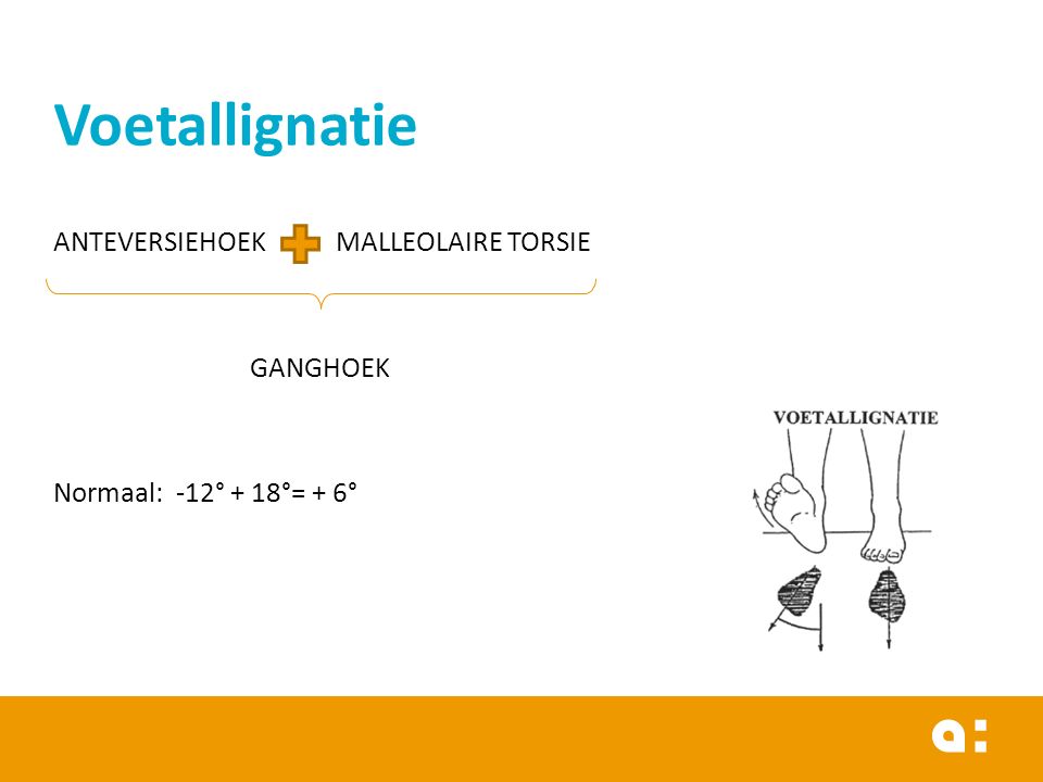 Voetallignatie ANTEVERSIEHOEK MALLEOLAIRE TORSIE GANGHOEK Normaal: -12° + 18°= + 6°