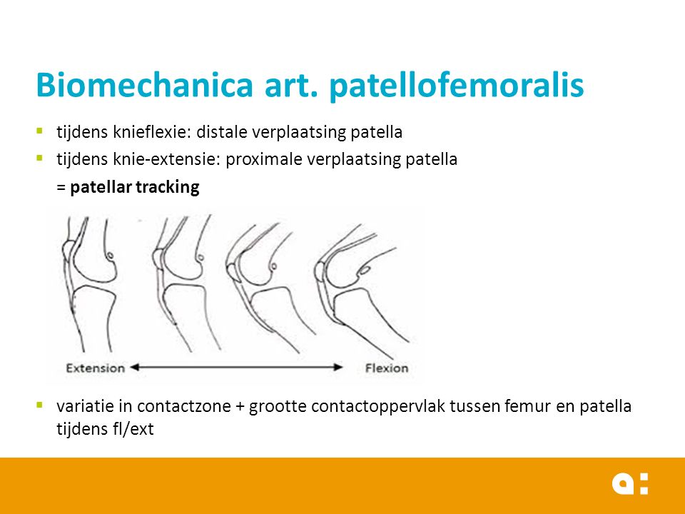 Biomechanica art. patellofemoralis
