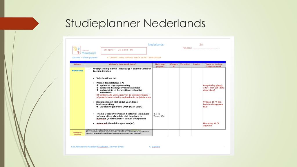Studieplanner Nederlands