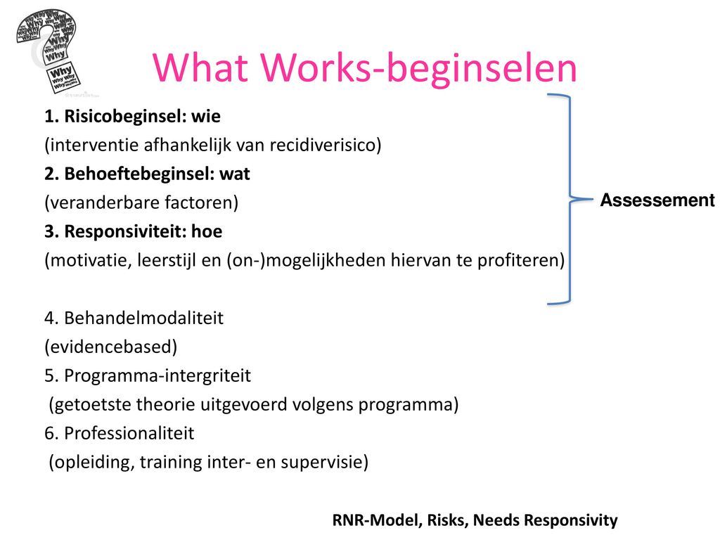 What Works-beginselen