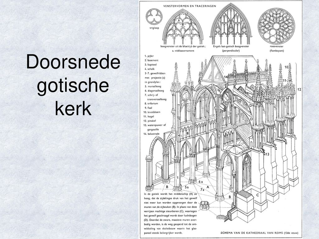 Doorsnede gotische kerk