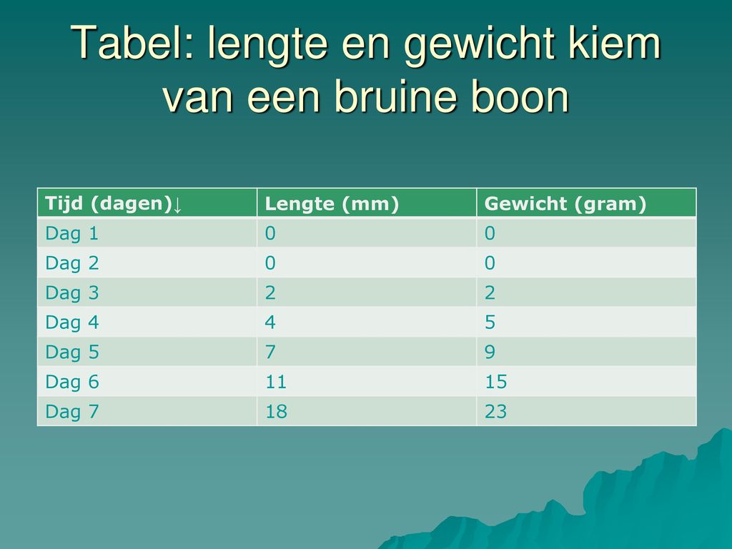 Tabel: lengte en gewicht kiem van een bruine boon