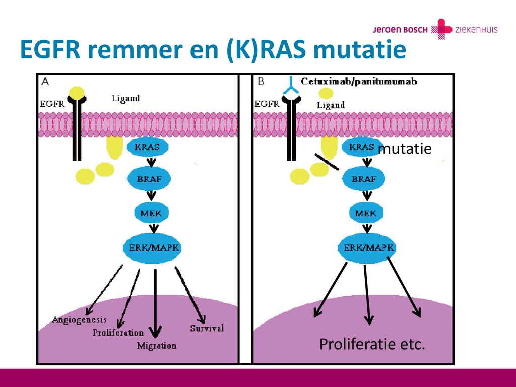 EGFR remmer en (K)RAS mutatie
