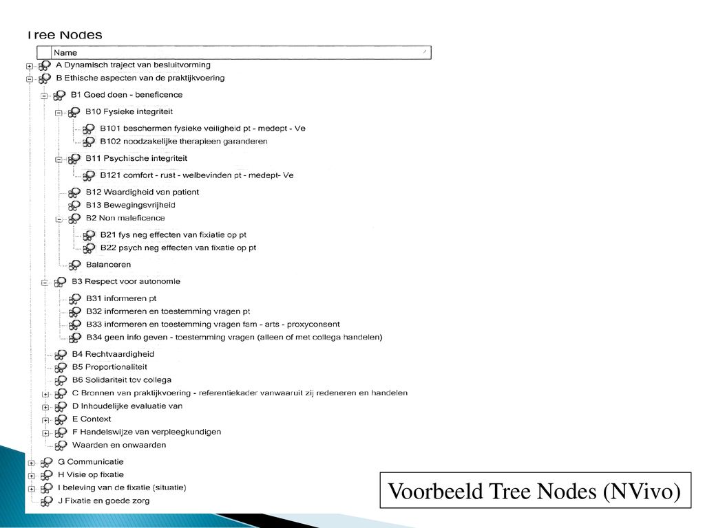 Voorbeeld Tree Nodes (NVivo)