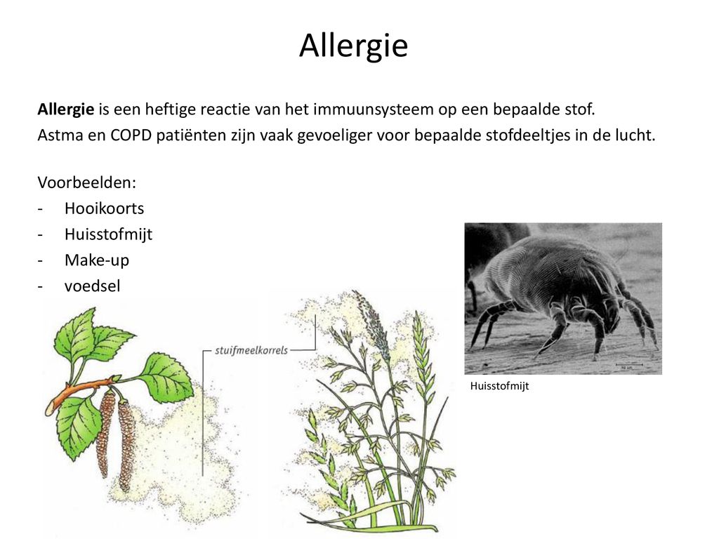 Allergie Allergie is een heftige reactie van het immuunsysteem op een bepaalde stof.