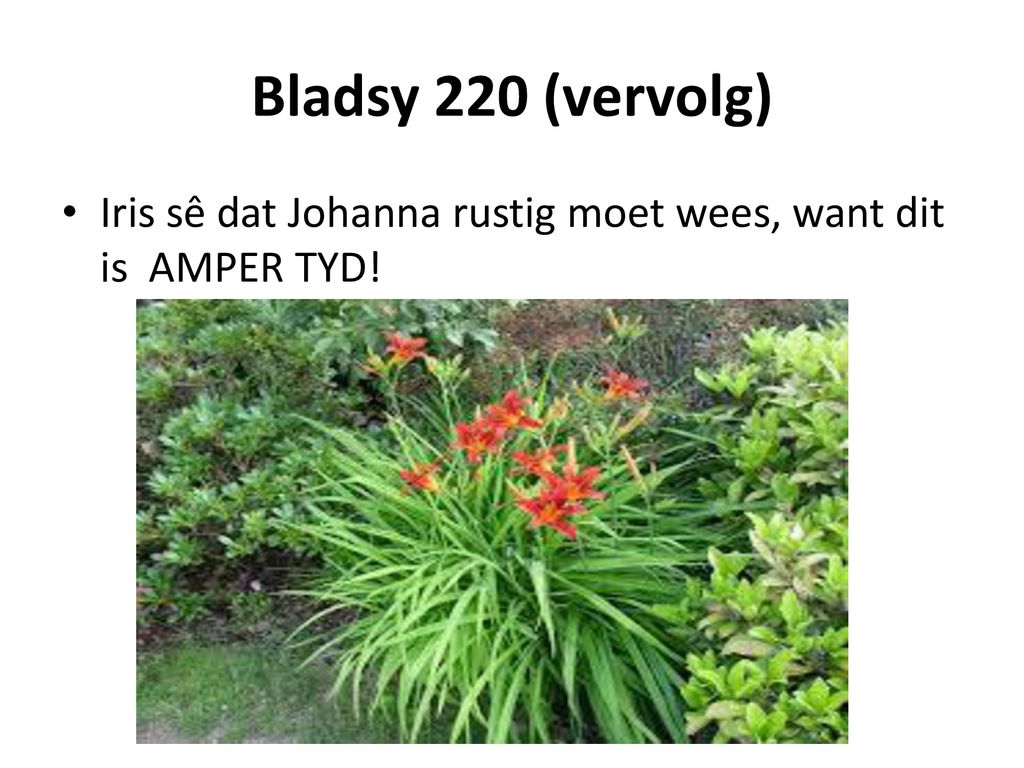 Bladsy 220 (vervolg) Iris sê dat Johanna rustig moet wees, want dit is AMPER TYD!